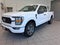 2023 Ford F-150 XL STX