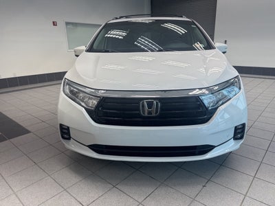 2023 Honda Odyssey Elite